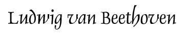 Ludwig van Beethoven