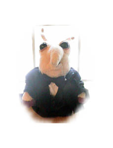 Skippy in his tuxedo